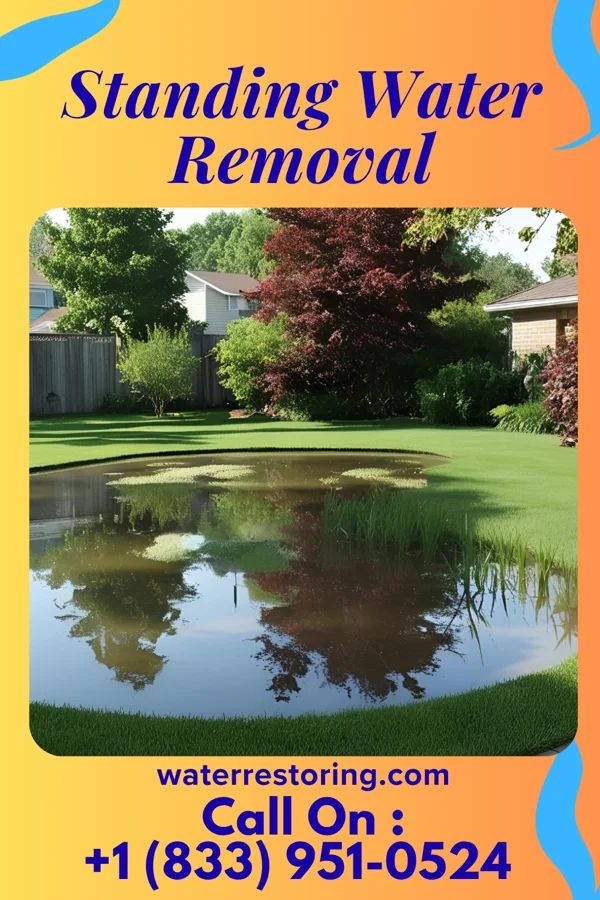 Standing Water Removal in Smackover, AR